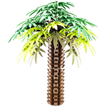 Dattelpalm